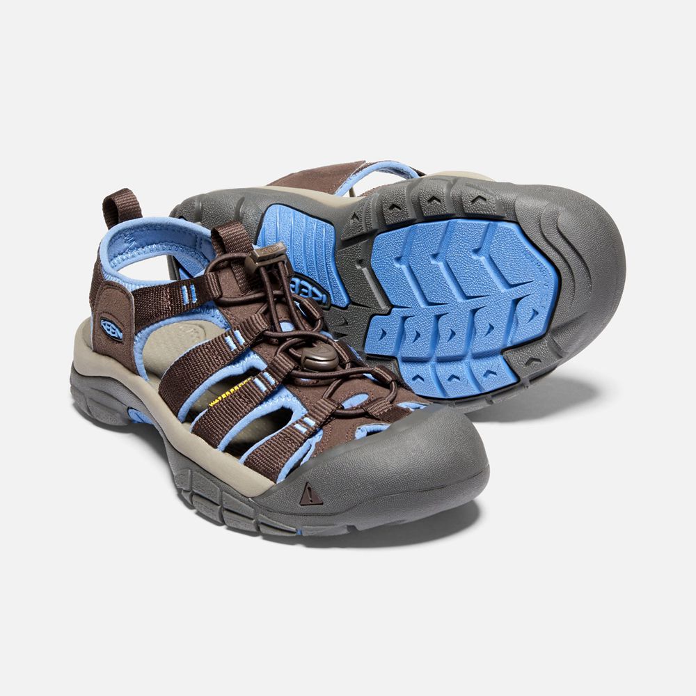 Sandales de Randonnée Keen Femme Marron/Bleu | Newport H2 | CZWSM-7459